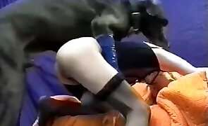 sex with animals, porn with animals