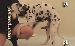submissive, guy fucks animal
