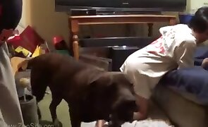 japanese bestiality, beastiality porn